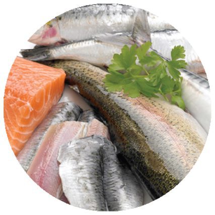 Vette vis voor ogen –  Essentiële vetzuren